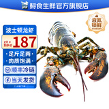 鲟食 波士顿龙虾冰鲜冷冻大波龙澳龙大龙虾生鲜虾类节日送礼 波士顿龙虾【生冻】 2300-2500g/只