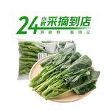 七鲜24小时芥兰 300g