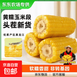 【东东农场专供】正宗头茬东北新鲜糯玉米软糯拉丝真空包装早餐 黄糯玉米2支*180g+