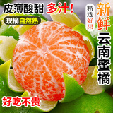 粤迎云南青皮蜜桔【闪送-源头直采】橘子无籽新鲜现发酸甜孕妇可吃 5斤精选装【单果50mm+】净4.0斤
