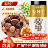 修年堂春砂仁100g 春沙仁干果阳春砂煲汤蒸肉磨粉调味广东阳春特产