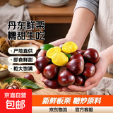 京喜加丹东新鲜板栗糖炒栗子原料糯甜板栗可生吃新鲜蔬菜生鲜 丹东鲜板栗 0.5斤