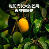 都乐（DOLE）厚切芒果干100g*4袋 果脯 儿童零食休闲零食