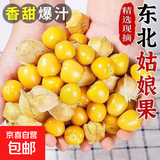 正宗东北菇娘果姑娘果灯笼果清甜可口 带箱2.3斤（净重2斤）
