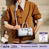 纽芝兰（NUCELLE）飞马波士顿包包2026新款轻奢小众手提斜挎女士包包生日礼物送女生
