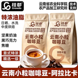 桂都农科院咖啡豆中深度烘焙意式特浓黑咖啡原豆咖啡馆商用小粒咖啡豆 云南小粒咖啡豆500g*1袋