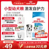 皇家狗粮 幼犬狗粮 幼犬奶糕宠物小型犬MIJ31全价犬粮2-10月800g