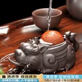 唐丰紫砂茶宠财源滚滚金蟾茶具茶盘摆件喷水聚宝金蟾茶桌配件 财源滚滚茶宠（宇辉同行同款）