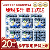 山姆伯伯 新鲜蓝莓【顺丰-多地次日达】当季花香蓝莓水果礼盒送礼 【千里挑一】品质大果18-20mm+ 6盒【超划算-全家畅吃】净600g