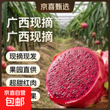 【商超大果】广西金都一号红心火龙果超甜红肉火龙果新鲜水果 带箱2斤净重1.6斤起 中果 单果300g+