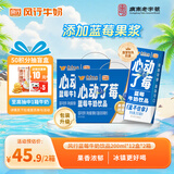 风行蓝莓风味牛奶饮品200ml*12盒*2箱 牛奶礼盒装 送礼佳品