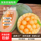 【东东农场专供】现摘现发哈密瓜晓蜜25号脆甜爽口 哈密瓜带箱5-6斤（1-2个）