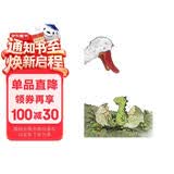 绿色小家伙 通过“收养”这一主题传递出令人倍感温馨的爱，现已翻译成7国语言 3-6岁（启发出品）