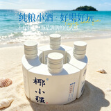 椰小强海南特产椰子水果酒42度白酒迷你小瓶白酒女士旅游伴手礼125ml 42度 500mL 1盒 【海南特产】小聚礼盒装