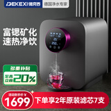 德克西德国净水器即热台式净饮机RO反渗透直饮机母婴直饮即热家用饮水机 【富锶升级】WB-1深空灰 4.7L 30天免费试用