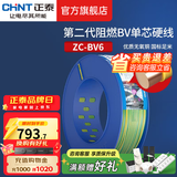 正泰（CHNT）阻燃电线BV2.5/4/6平方单股铜芯电线 电缆线国标电源线家用铜芯线 阻燃｜双色地线BV6  100米