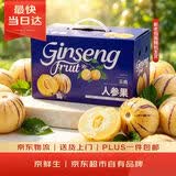 京鲜生 云南人参果 净重3斤装 单果80g起 生鲜水果 