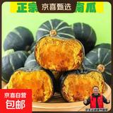 京喜加惠和1号贝贝南瓜新鲜蔬菜生鲜减肥减脂早餐沙拉单果100g起 礼盒装贝贝南瓜 5斤 带箱