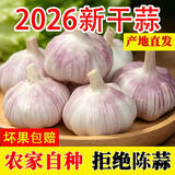 春平赋2026年新鲜干大蒜头大蒜批发红皮蒜干蒜炒菜香 甄选2斤【果径3-5cm]净重1.6斤+