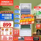 星星（XINGX）展示柜冷藏保鲜柜 风冷除霜饮料柜单门立式冰柜直冷冰箱商用食品留样超市便利店蔬菜水果啤酒水柜 风冷除霜 1级能效228升LSC-235C