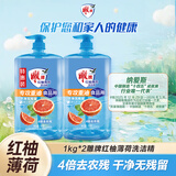 雕牌 食品用洗洁精1kg*2瓶 红柚+薄荷去重油 果蔬餐具洗涤剂