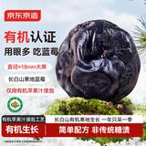 京东京造长白山有机果汁蓝莓干300g无添加健康零食儿童孕妇休闲小包装