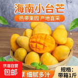 四川攀枝花青黄皮凯特芒新鲜上市芒果热带果园生鲜新鲜水果非榴莲 带箱1斤净重0.8斤单果200g+