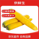 京鲜生山东黄萝卜 净重3斤 单果100g+ 新疆手抓饭辅料 源头直发