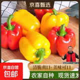 彩椒五彩甜椒水果圆椒不辣太空椒灯笼椒新鲜可即食减脂蔬菜 山东彩椒红+黄2斤净重1.8斤