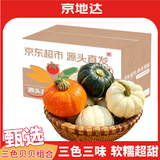 京地达山东三色贝贝南瓜组合净重4.5斤单果200g+金贝贝奶油南瓜源头直发