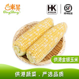東昇金银甜玉米500g 水果玉米 甜多汁早餐粗粮蔬菜教师节礼物中秋送礼 500g
