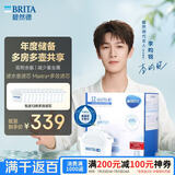 碧然德(BRITA)滤水壶滤芯 Maxtra+多效滤芯12只装 过滤器净水器 家用净水器滤芯 可滤水150L