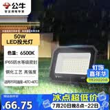 公牛（BULL）LED投光灯户外庭院工厂园林灯露营灯 IP65防水等级50W-6500K白光