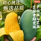京地达广西百色桂七香芒果 8斤大果单果150g+ 高端芒果水果源头包邮
