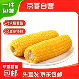 东北真空即食黄糯玉米黄糯有机糯玉米早餐必备整箱批发京东包邮 有机黄糯玉米 10根*250g  净重 铝箔装 