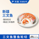 天蕴三文鱼整鱼轮切鱼扒带头带尾生鲜国产虹鳟鱼三文鱼源头直发