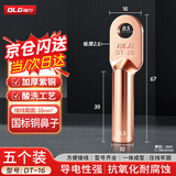 强力（QLG）铜鼻子DT-16平方 铜接线端子线鼻子酸洗堵油铜鼻子国标电缆接头【5只/包】