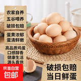 京喜加 鲜鸡蛋 鲜鸡蛋  五谷喂养 山林自养鸡蛋早餐 生鲜超市买菜40g 10枚 400g