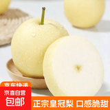 【东东农场专供】赵州桥皇冠梨黄冠梨酥梨脆甜多汁水果生鲜 优选果5斤装（净重4.5斤）单果225g