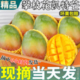甜萌果蔬凯特芒芒果现摘当季新鲜水果广西甜心青皮大芒果热带孕妇水果送礼 9斤装【甄选果丨单果500g+】净8.0斤