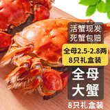 【活蟹】乾澄大闸蟹现货 全母蟹2.5-2.8两 8只 去绳足重鲜活六月黄螃蟹海鲜礼盒