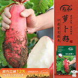 寿禾501水萝卜种子种苗夏秋红皮罗卜蔬菜种籽 501水萝卜种子10g/袋*3