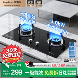 荣事达【免费拆装】燃气灶天然气液化气双灶台式嵌入式俩用5.2kW猛火一级能效钢化玻璃面板 液化气（20Y） 猛火双灶+钢化玻璃+铜盖