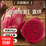 【商超大果】广西金都一号红心火龙果超甜红肉火龙果新鲜水果 带箱3斤净重2.5斤起 大果 单果400g+