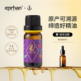 伊帕尔汗薰衣草精油单方精油香薰按摩油身体植物精油精华油  品牌20周年庆 薰衣草精油10ml  单方