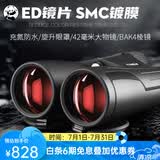 熊猫（PANDA） 双筒望远镜高清高倍军事带微光夜视观鸟专业级观月户外防水寻蜂 明锐10×42【ED SMC紫红膜】进阶推荐