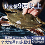 梭子蟹鲜活特大野生舟山大螃蟹海鲜新鲜冷冻海蟹水产飞蟹白蟹顺丰 净重1斤以上/只 【4只 包鲜包肥 顺丰冷运】