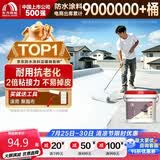 雨虹防水屋顶防水补漏材料房顶裂缝防水胶补漏王楼顶料液体抗裂-白色 5kg