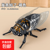 仿真爬行动物新款上链发条知了发条玩具昆虫创意玩具夏蝉金蝉模型 褐色知了一只