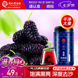 同仁堂品牌北京同仁堂黑桑葚干桑椹干果500g养生搭枸杞泡水非即食中药材